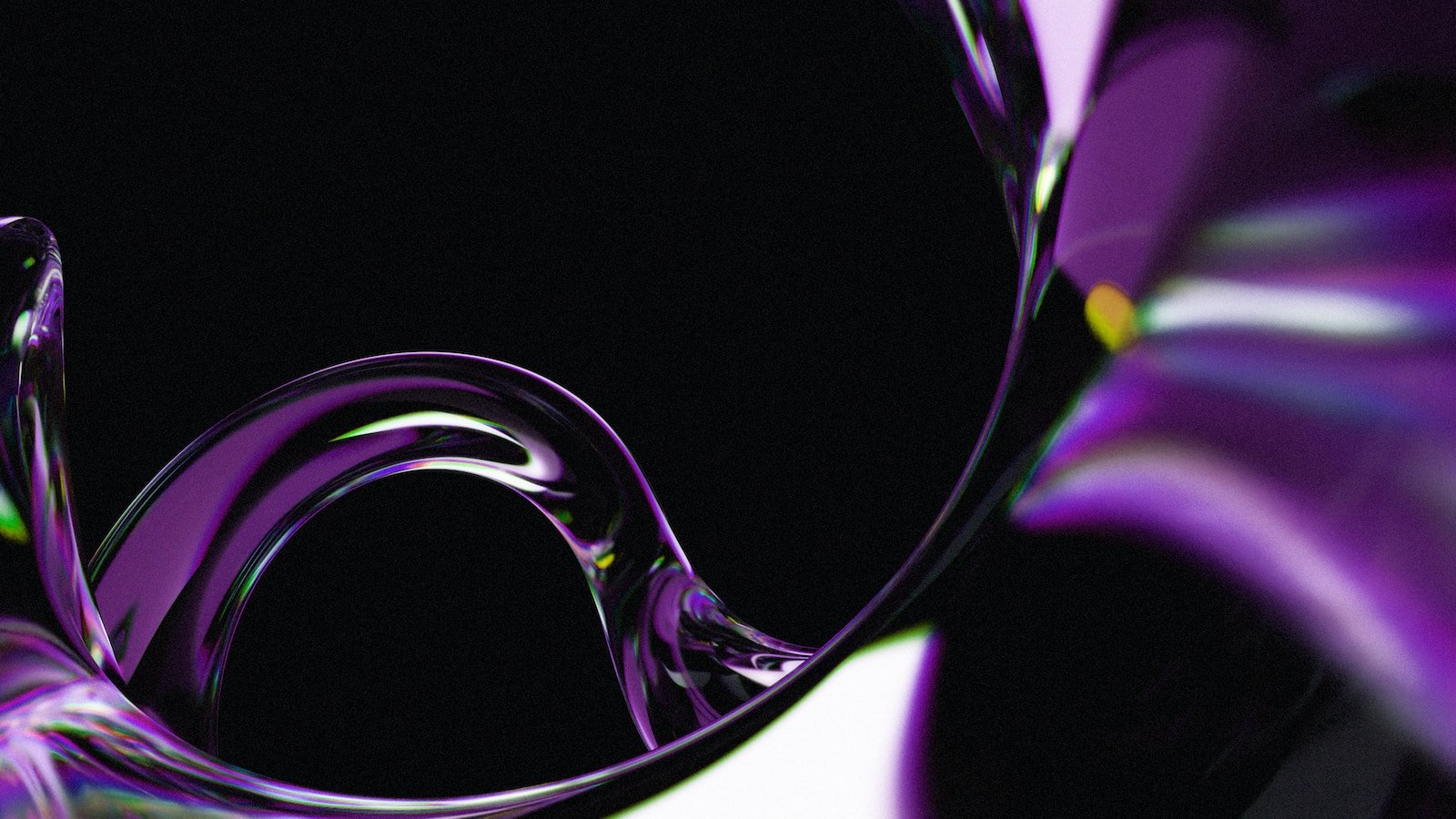 a close up of a purple flower on a black background