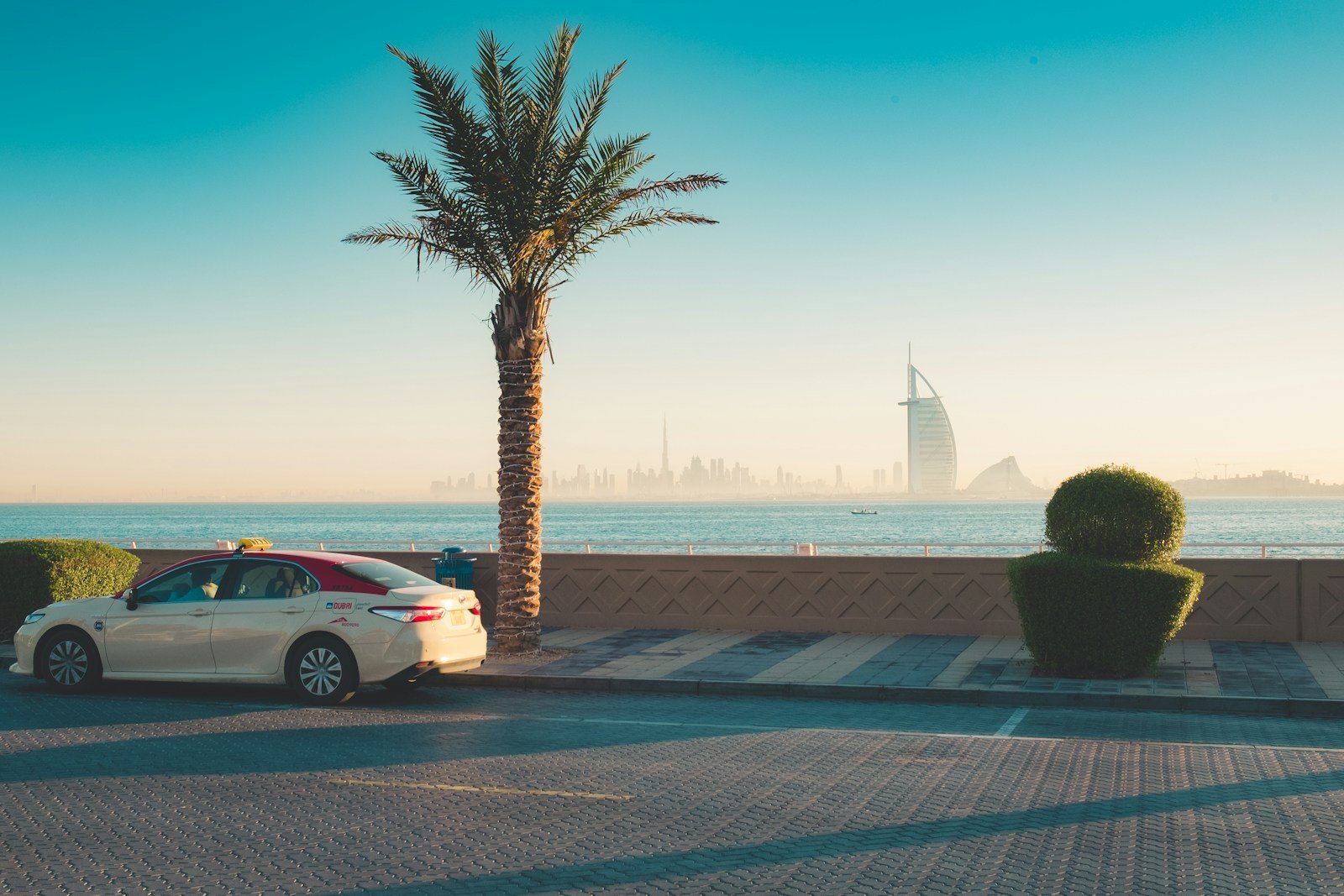 white sedan parked near palm tree during daytime