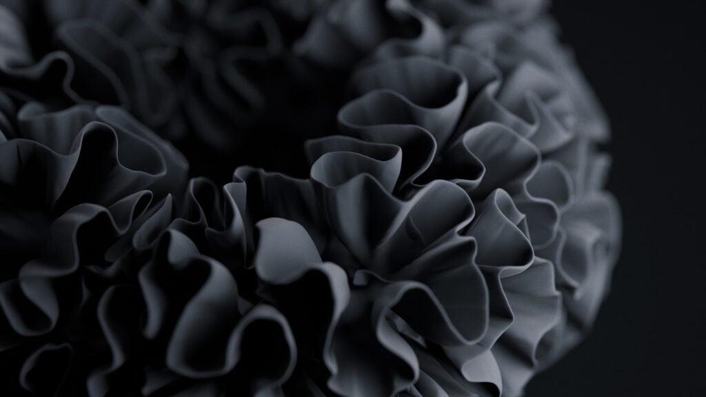 A black and white photo of a flower